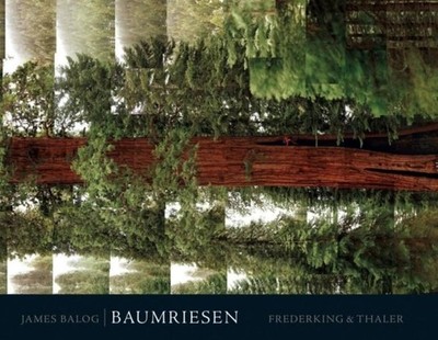 Baumriesen Balog, James, David Friend und Frank Auerbach: