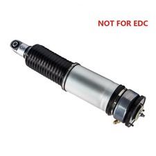 Air Strut Assembly Rear Passenger Side (w/o E...