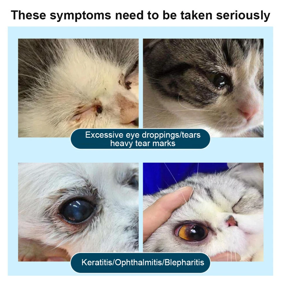 1-5PCS Pet Cat Dog Eye Ointment Pet Eye Ointment Corneal Inflammation Eye Ointme - Image 2 of 4