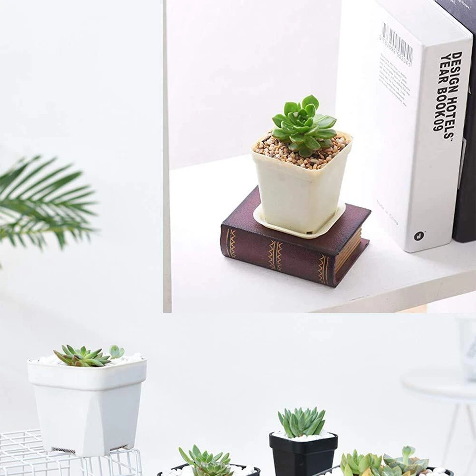 Paquete de 24 macetas de plástico cuadradas de 3 pulgadas con platillos Foto 4 de 4