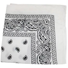 Pack of 10 Polyester 22 x 22 Paisley Printed Bandanas White