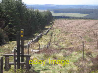 Photo 6x4 Fence Stile at Ellery Grain Bewcastle Fells  c2008