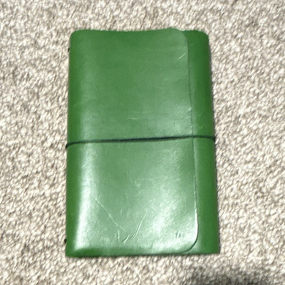 Louise Carmen Paris Roadbook  Primavera Green Leather Journal Cover