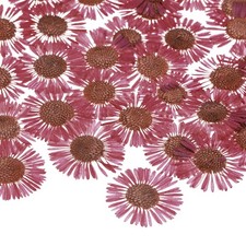 60-Pack Dried Pressed Flowers for Resin, Real Natural Dry Floral Rose Pink 