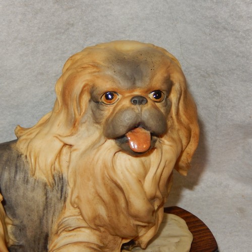 PEKINGESE Dog CAPODIMONTE Florence Guiseppe ARMANI Sculpture Italy Vintage Tzu - Picture 7 of 10