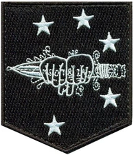 USMC MARINE FORCES SPECIAL OPERATIONS COMMAND (MARSOC) D COMPANY PATCH