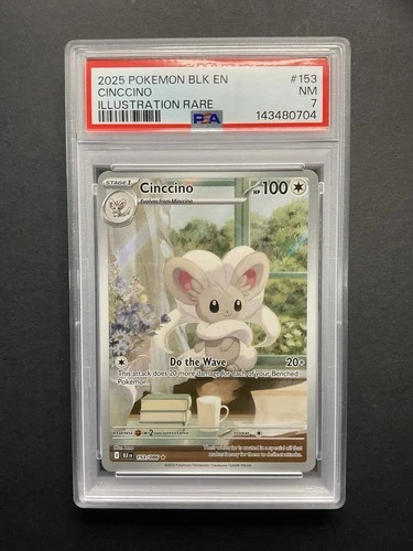 Cinccino 153 PSA 7 2025 Pokémon Illustration Rare BLK EN