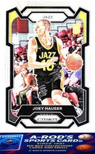 2023-24 Panini Prizm * Joey Hauser * Card #293 * SILVER PRIZM (RC)