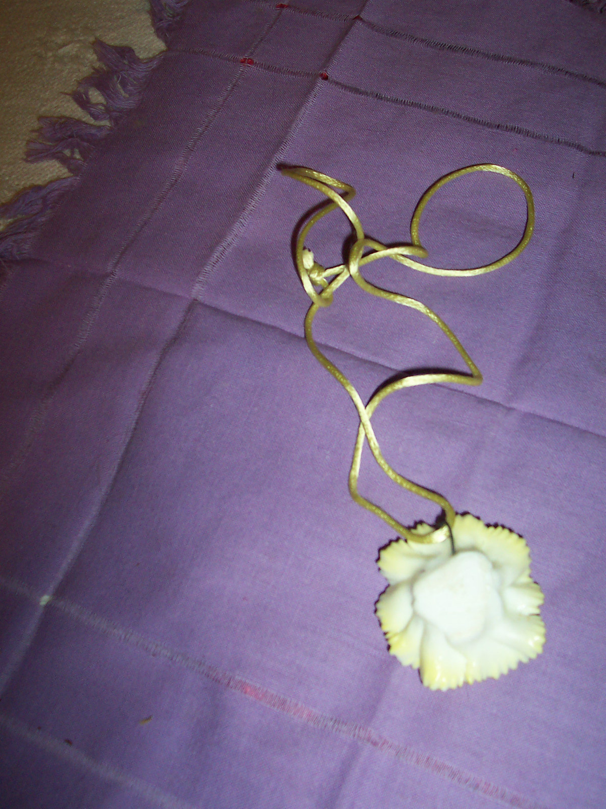 Imagen 2 de 3