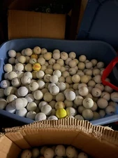 12-Pack Used Golf Balls (Callaway, Titleist, Nike, Vice, and More!)