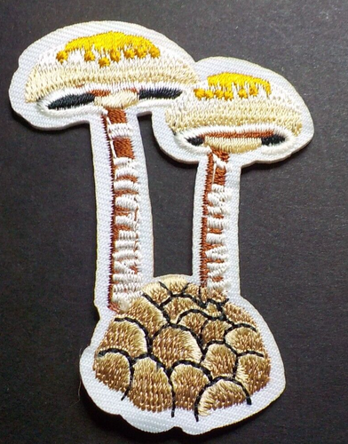 Mushrooms on a Rock Embroidered Iron On Patch Easy Application FREE SHIPPING