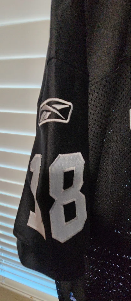 Camiseta deportiva Oakland Raiders auténtica Reebok Randy Moss Foto 2 de 4