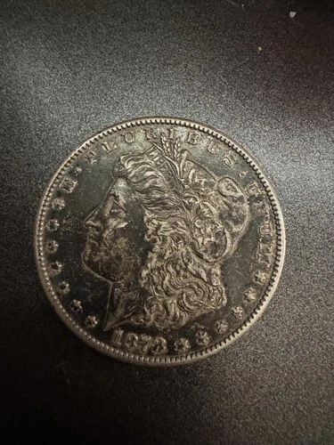 1878 San Francisco Mint Morgan Dollar DARK toned Good Condition
