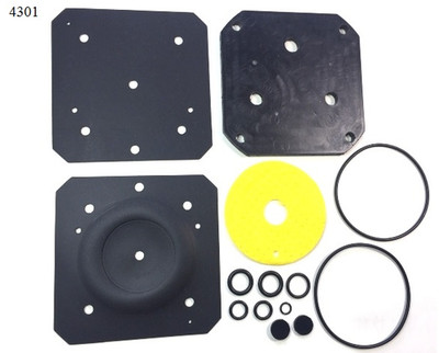 LANDI RENZO IG1 / LI01 Reduktor Reparatur Set Voll +Rebuild Service 4301