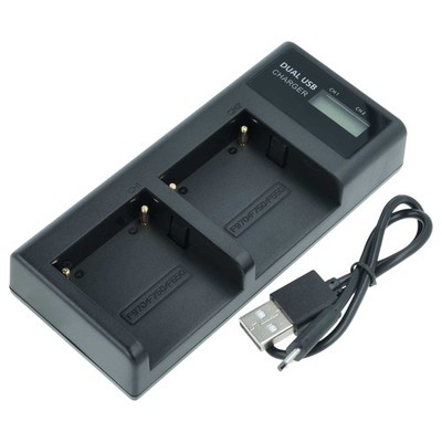 Akku Ladegerät für Sony CCD-TRV94E CCD-TRV940 CCD-TRV95 8,4V Dual USB