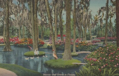 Feeding the Ducks Beauty and Grace in Florida Duck Pond Linen Postcard