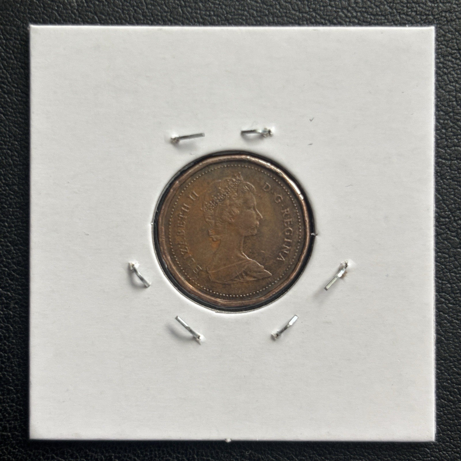 Picture 6 of 6