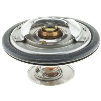 Motorad 288-174 Thermostat-170 Degrees w/ Seal For Select 88-98 BMW Models