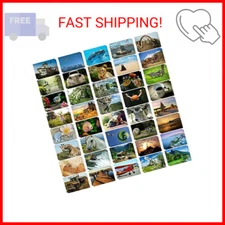 BEST PAPER GREETINGS 40 Pack Around the World Postcards Bulk 4x6 - Wild Animals 