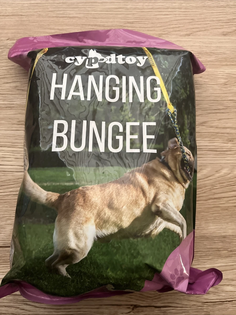 Dog hanging rope toy cheap