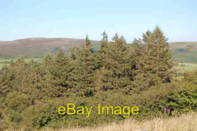 Photo 6x4 Woodland at Hexworthy, before felling Hexworthy/SX6572 The tre c2007