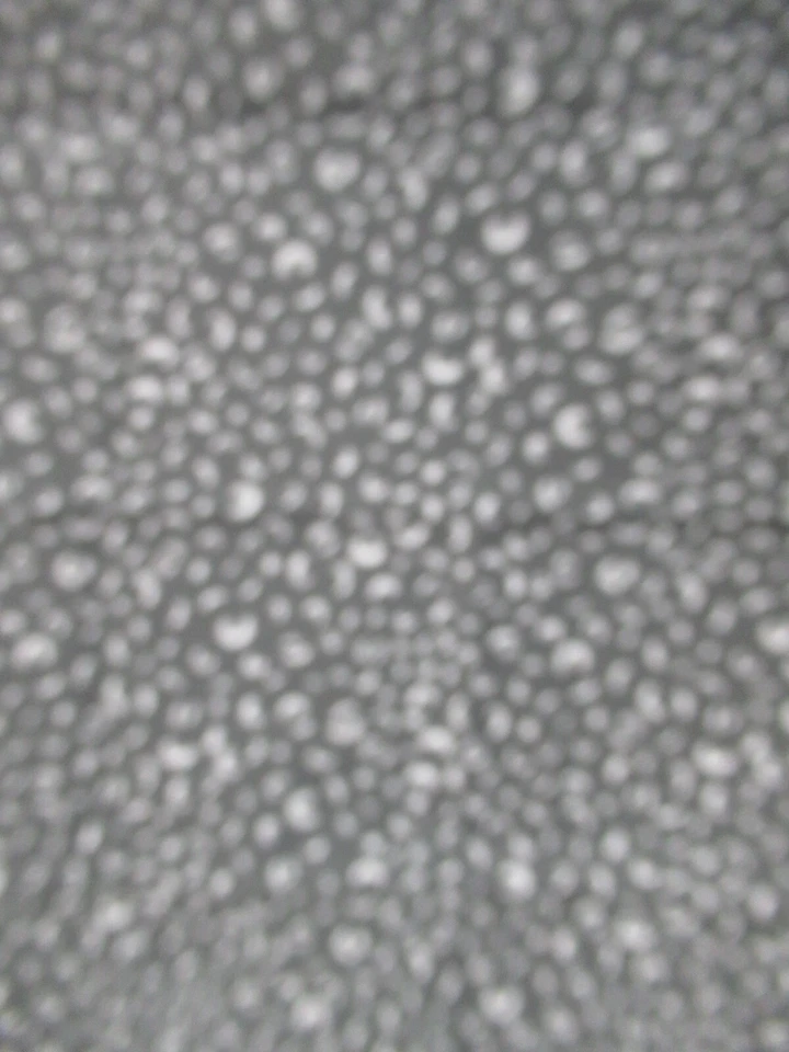 Savannah Fabric  Zest for Your Nest 48225 Gray   Premium Cotton   SZ23"X43"  NEW - Image 2 of 4