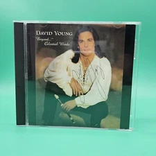 Beyond... Celestial Winds I by David Young (CD, 1994) SIGNED Autographed CD VG+