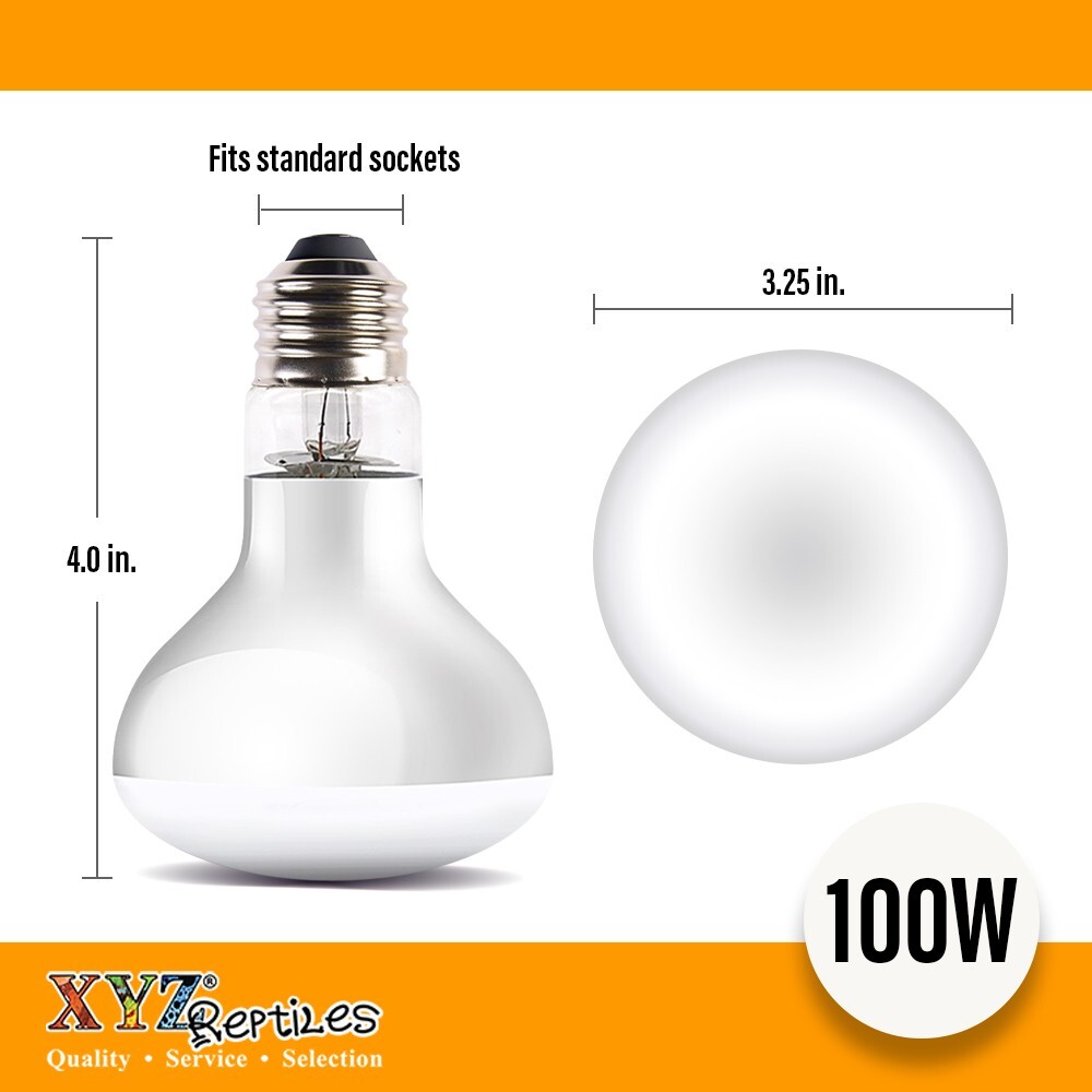 UVA Reptile Heat Lamp 100 Watt Bulb Basking Light XYZReptiles | eBay