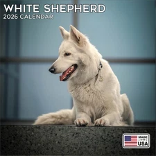 White Shepherd Calendar 2026 - Dog Breed Wall Calendar - Made in the USA!