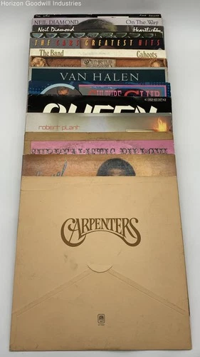 Assorted Rock Funk/Soul Pop Vinyl Records Lot of 14- The Who Queen & More! (F/P)