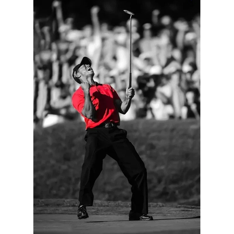 25+ golf decor for sale | Updated Oct 2026