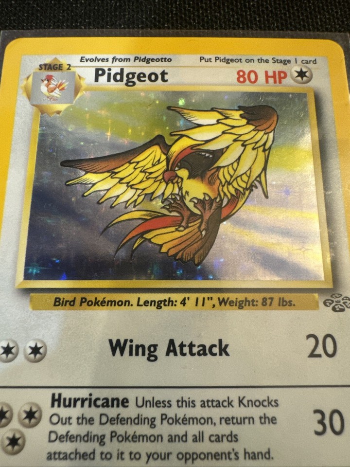 Pidgeot 8/64 1st Edition HP Jungle Set 1999 Pokemon Card Holo Rare