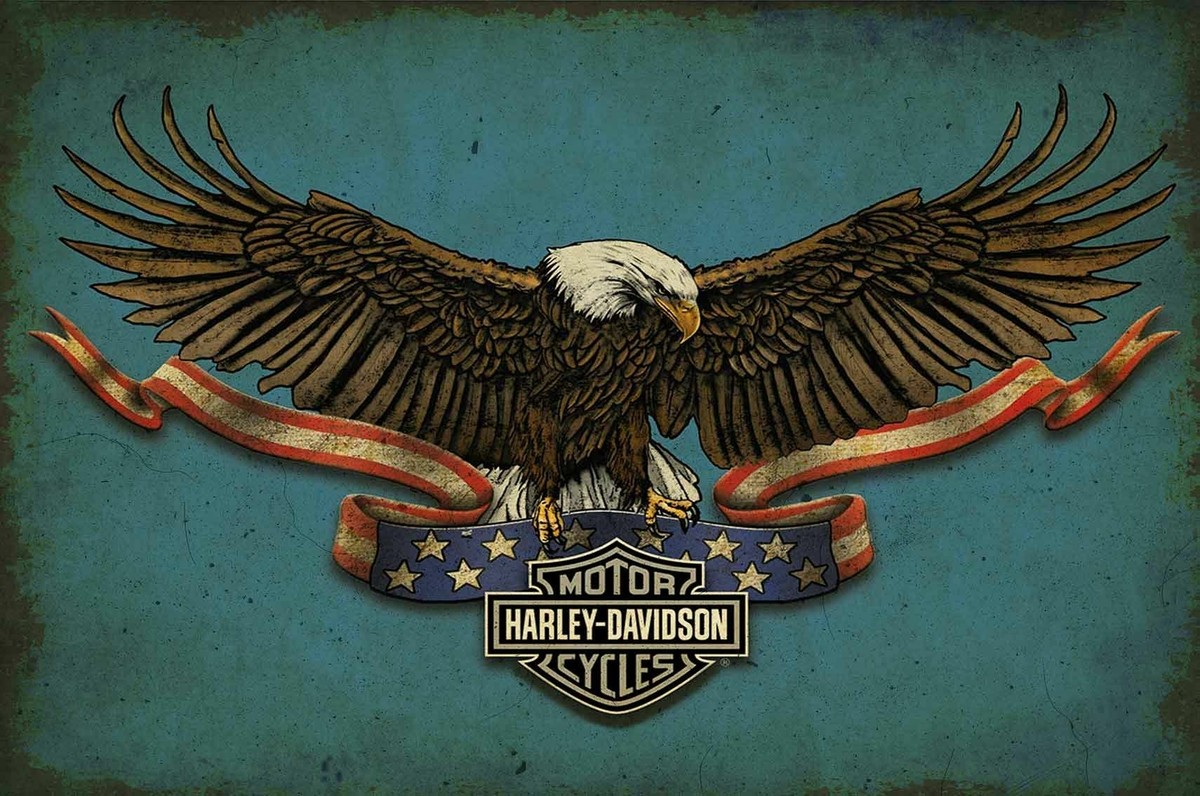 HARLEY DAVIDSON AMERICAN BALD EAGLE 24