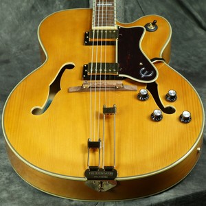 epiphone broadway case