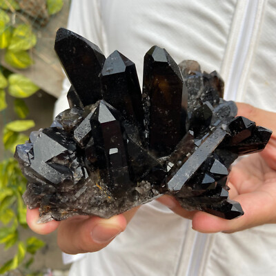 1.3lb Natural Black Smoky Quartz Crystal Cluster Point Raw Mineral Specimen