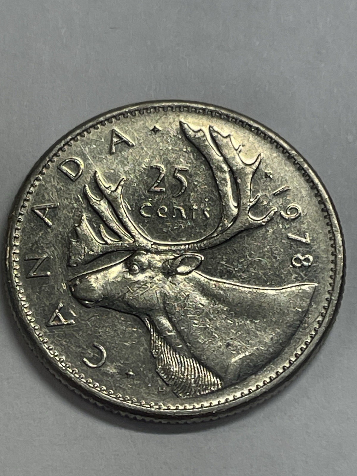 Foto 1 di 9