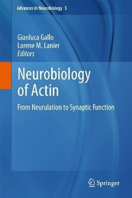 Neurobiology of Actin: From Neurulation to Synaptic Function Buch Springer