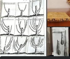Arboricoltura Agricoltura Piante Scienza Pergamena Antico Volume 
