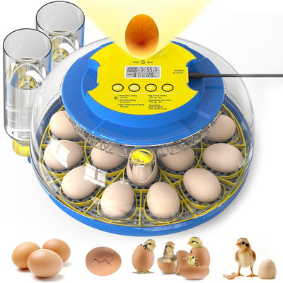 Automatic 18 Egg Incubator with Humidity Control & Egg Turning for Poultry