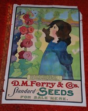  on The Hot Collector