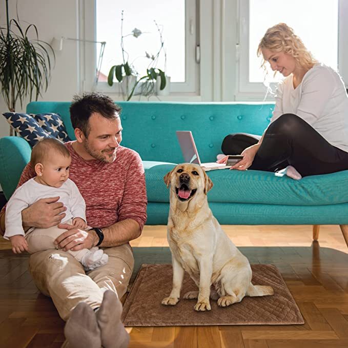 Electric Pet Heating Pad Warmer Heater Bed Heated Mat for Dog Cat 6