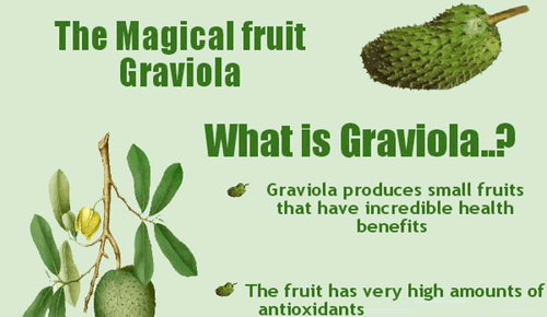 immune perfect - ACAI BERRY - GRAVIOLA COMBO 2B - graviola leaves organic - Picture 5 of 12