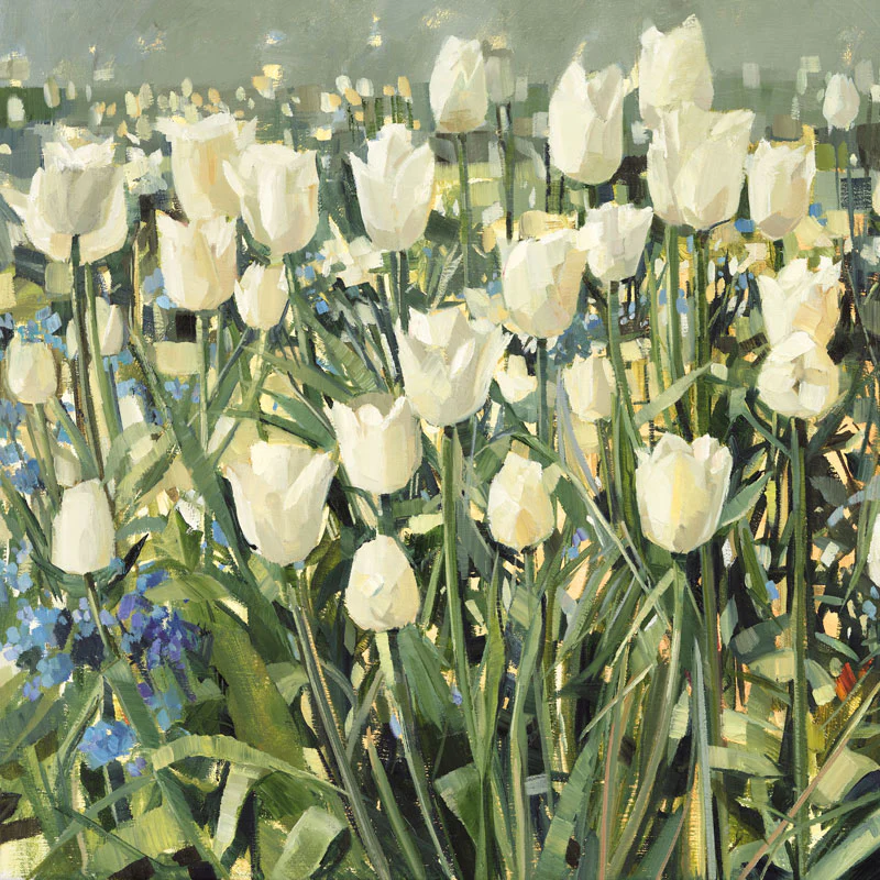 White Tulip Garden - Fine Art Blank Greeting / Birthday Card - Spring Flowers