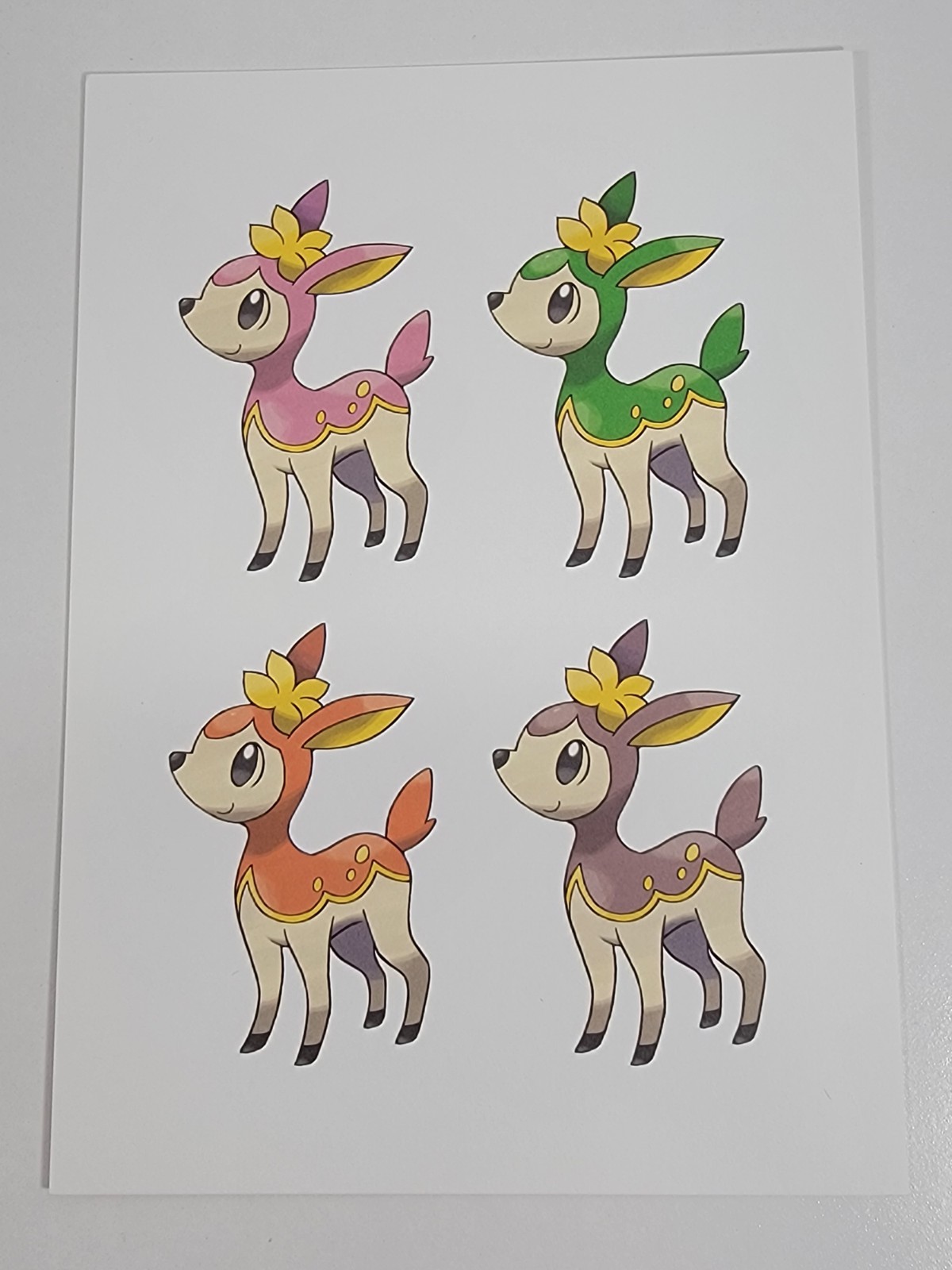 Picture 11 of 20