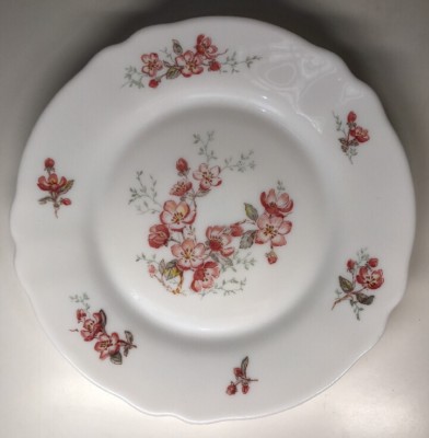 Lot De 6 Petites Assiettes Plates Vintage Arcopal France – Diamètre 19,5 Cm, Décor Floral, Verre
