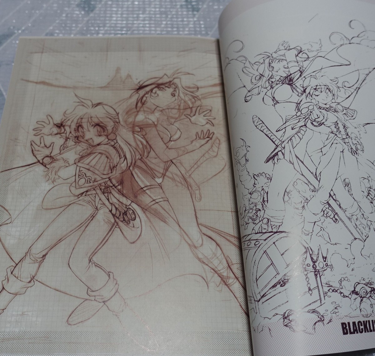 Rui Araizumi The Slayers Designer's Doujinshis Collection Books