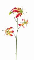 Artplants Deko Zweig Gloriosa Tiana, Pink