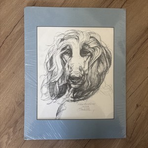 Afghan Hound Dog PRINT sketch by G. Marlo Allen 1981 Signed Slate Blue Mat VTG