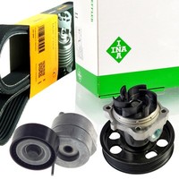 Contitech 6PK1318 Keilrippenriemen-Satz + Wapu FüR Alfa Romeo Fiat Opel Suzuki