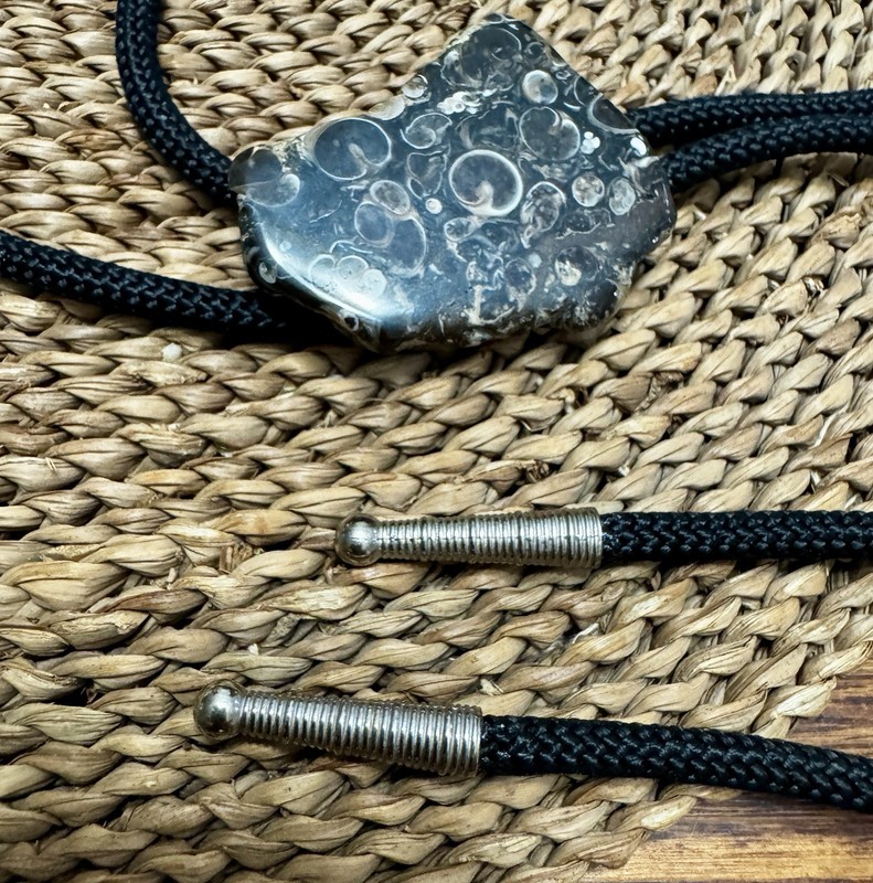 Vintage Bolo Tie w/fossil cabochon (polished Turritella agate) silver cord ends.